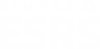 simple-ESRS